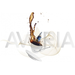 Avoria Aroma Coffee