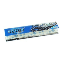 Juicy Paper Blueberry  -  1pc