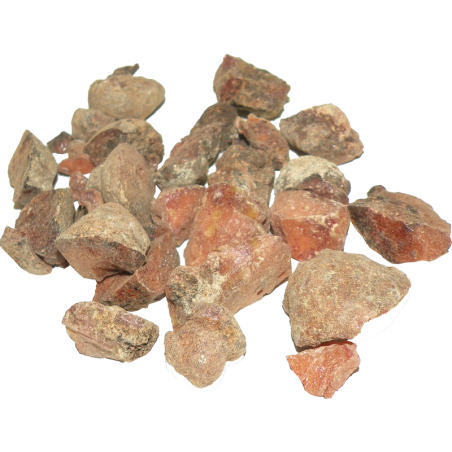 Bergföhrenharz Mexico 50g