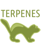 Terpene