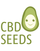 Feminised CBD-Seeds