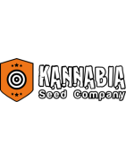 Kannabia