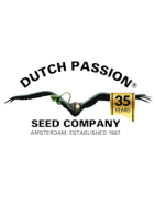 Dutch Passion Seeds