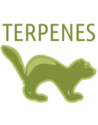 Terpenes and accessories