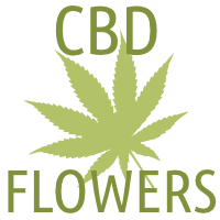 Fleurs de chanvre avec CBD