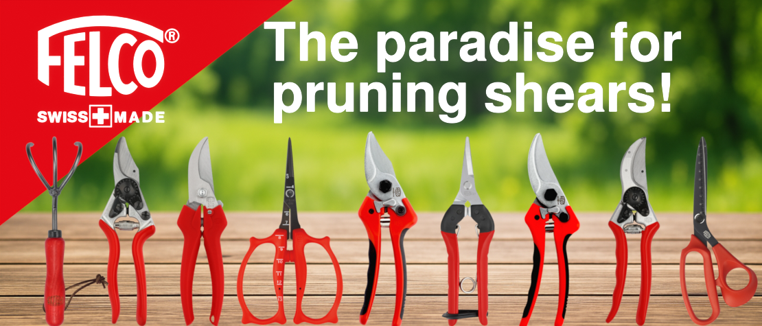 Felco pruning shears