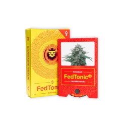 JYM Seeds - Fedtonic by Zitronic